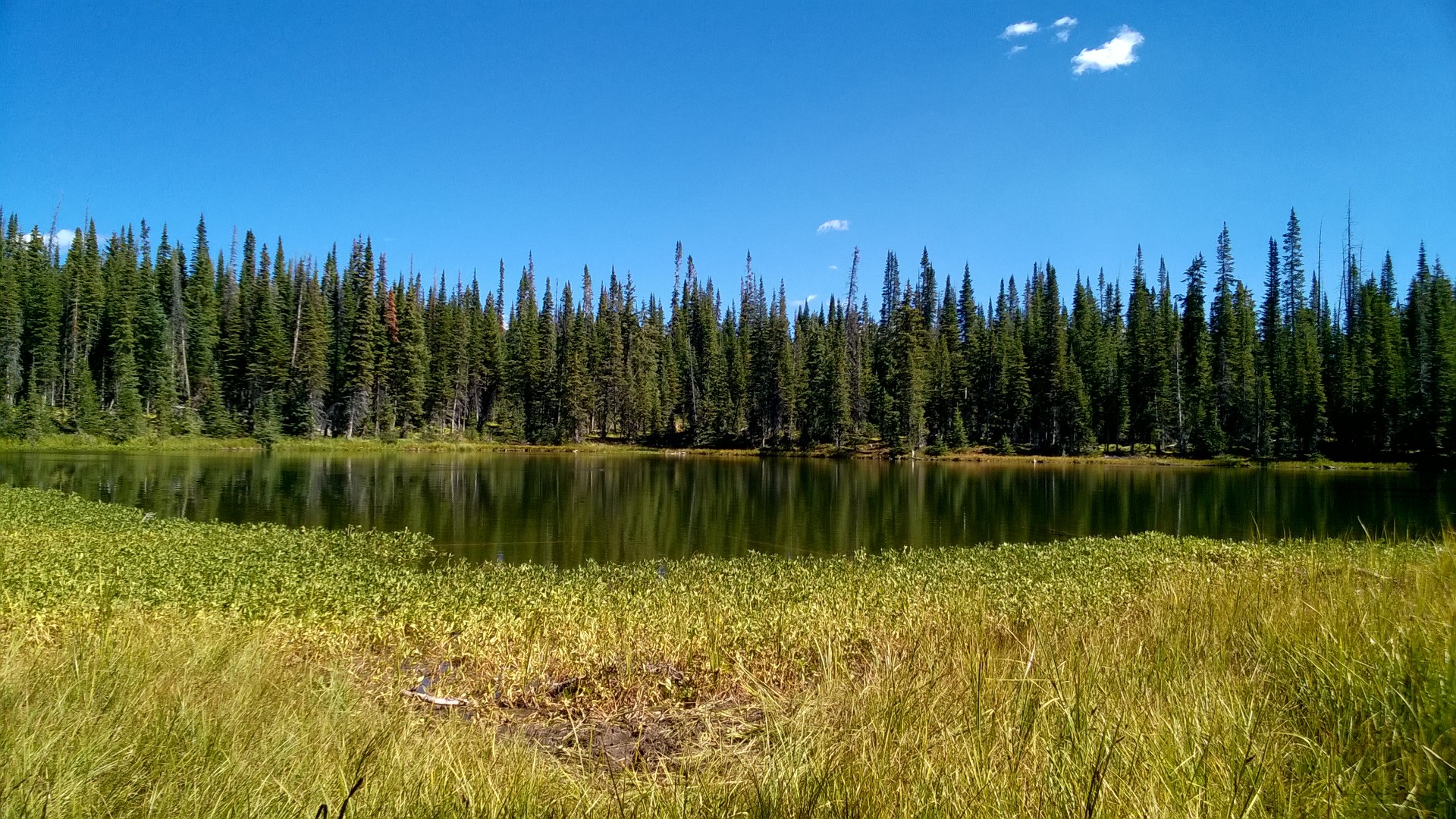 Wp 20160906 006 Random Sharepoint Problems Explained Intermittently